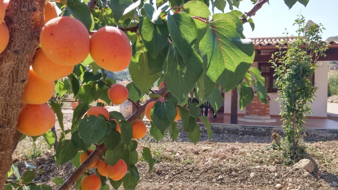 Elena Vicino La Riserva Naturale Dello Zingaro Holiday home Scopello (Sicily)